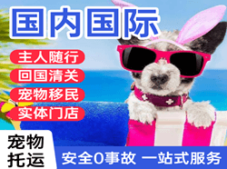 遵义茅台空运公司国际宠物托运 【国